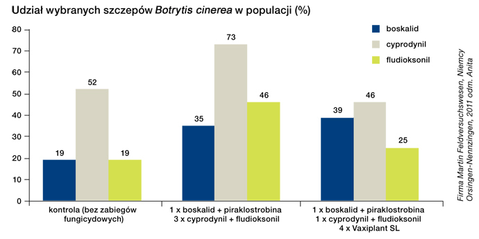 Vaxiplant - truskawka - pozostałości substancji aktywnych ŚOR